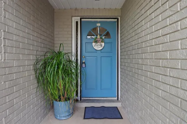a potted plant sitting in front of a door
