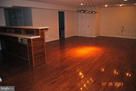 250 Freezeland Loop Road Linden, VA 22642 - Photo 22 of 29 Basement