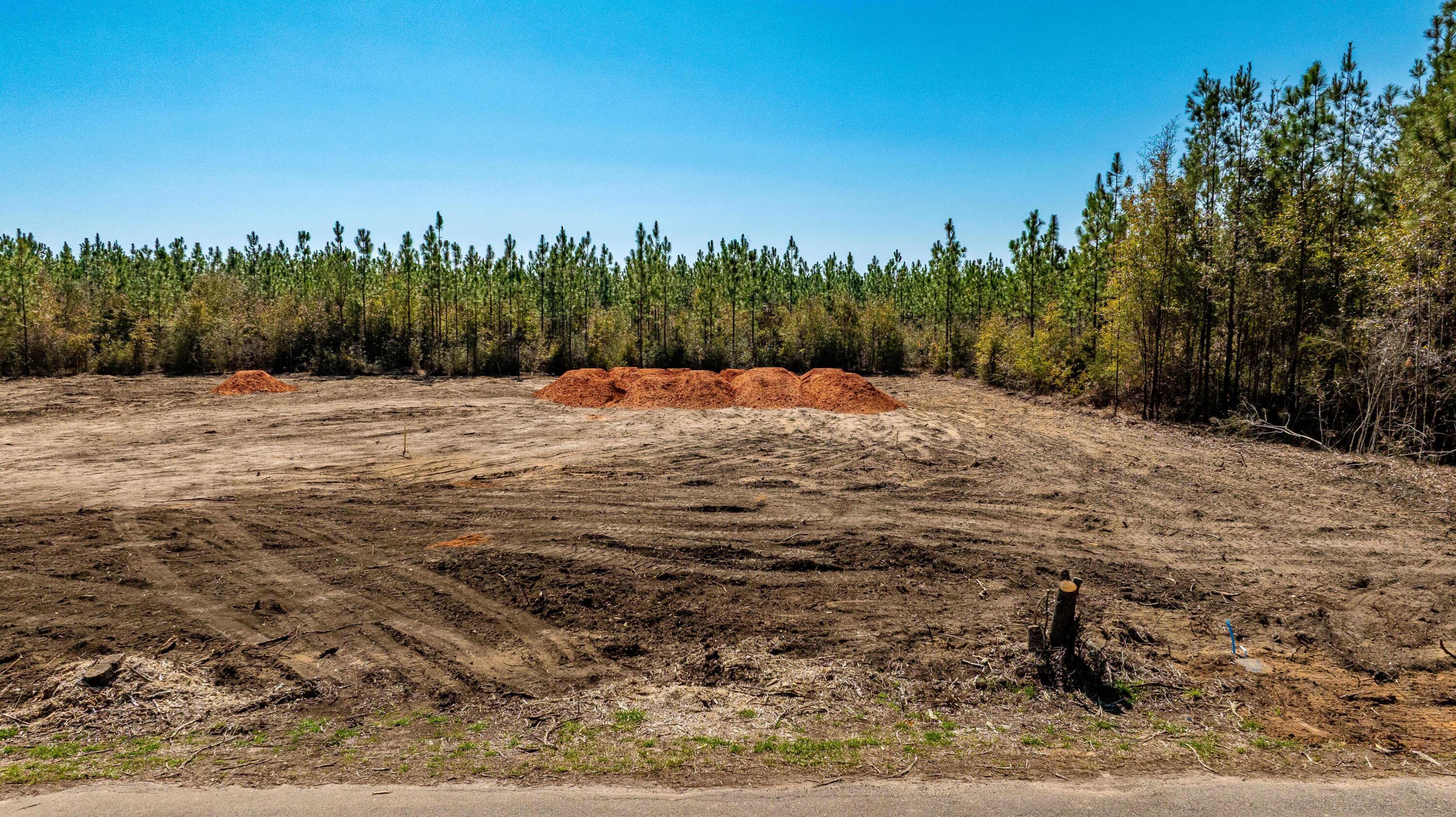 4851 Horace Lunsford Road Milton, FL 32570 - Photo 6 of 38