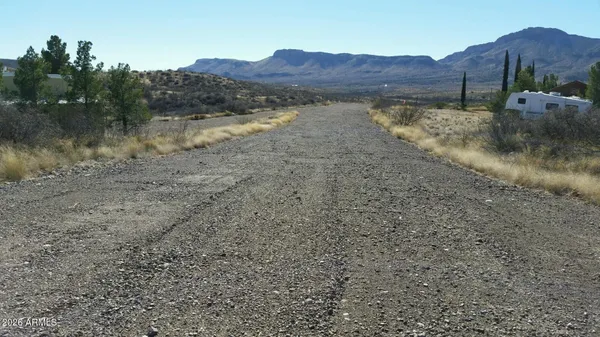 a view of a dry yard with trees