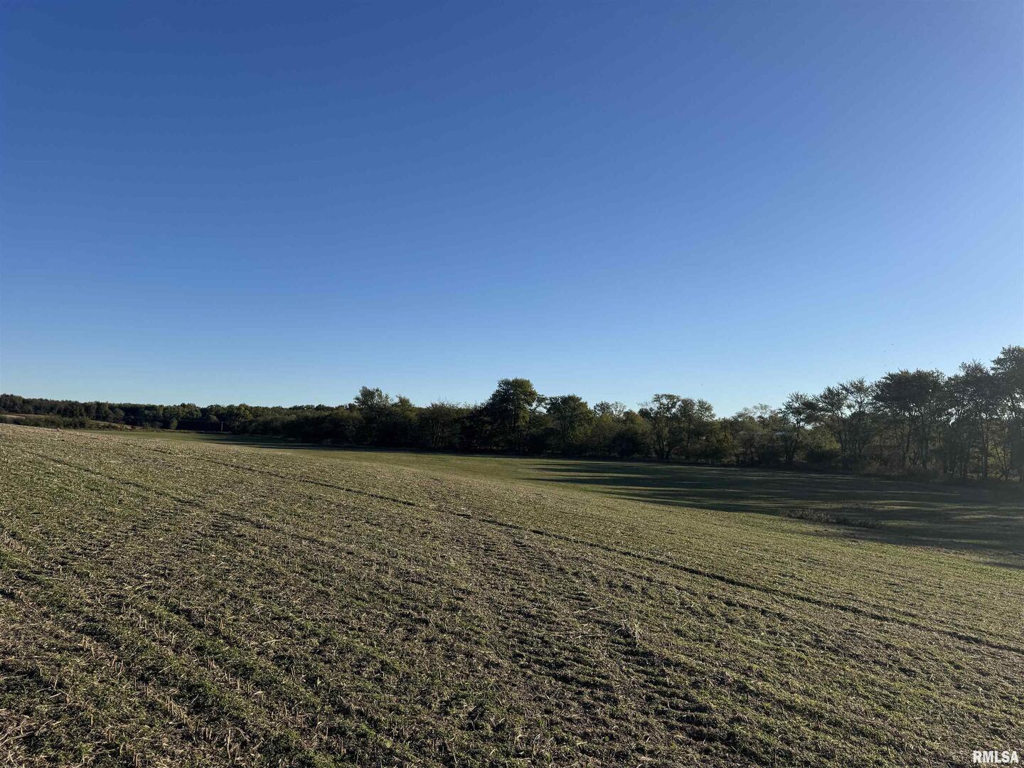 0 County Road 2100 N County Road Cisne, IL 62823 - Photo 19 of 20