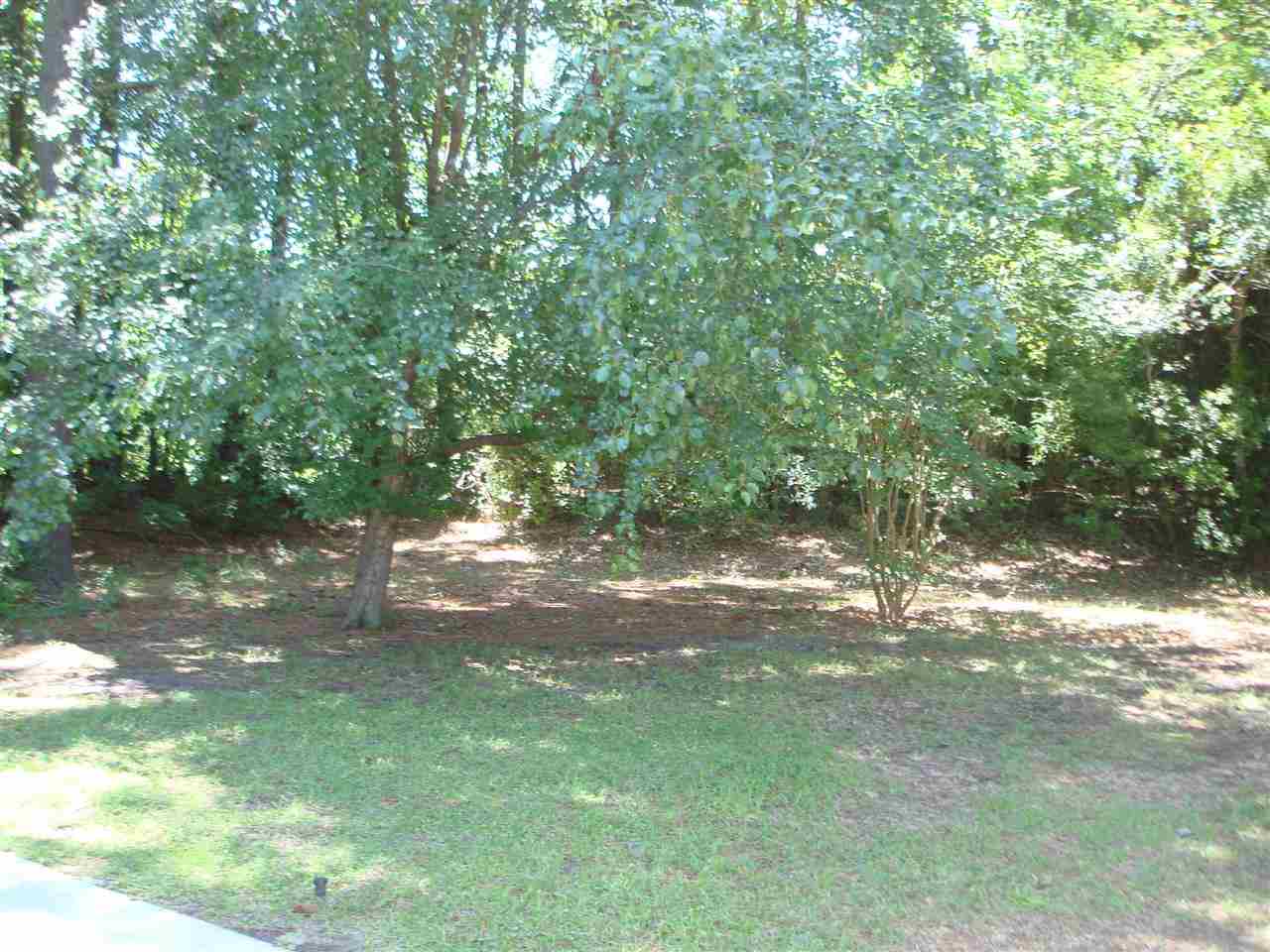 1467 Riceland Court Murrells Inlet, SC 29576 - Photo 19 of 20 Gallery Image 19