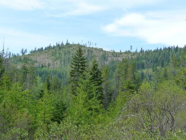 Nna West Nursery Lane Rathdrum, ID 83858 - Photo 1 of 1 main