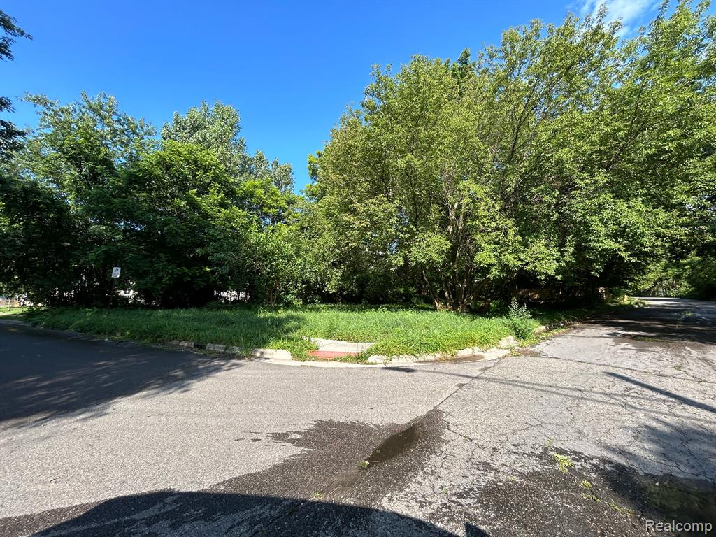 0 South Merrimac Street Pontiac, MI 48340 - Photo 10 of 14