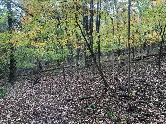 $69,000 | 1600 Hawkwood Trail, De Soto, MO 63020