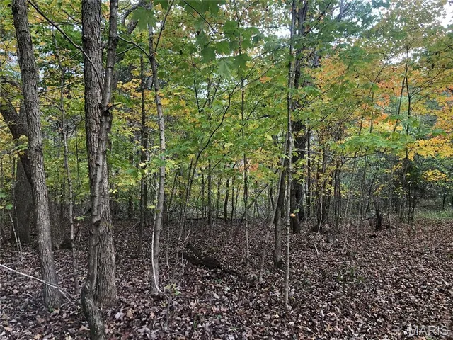 $69,000 | 1600 Hawkwood Trail, De Soto, MO 63020