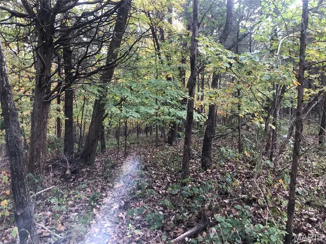 $69,000 | 1600 Hawkwood Trail, De Soto, MO 63020