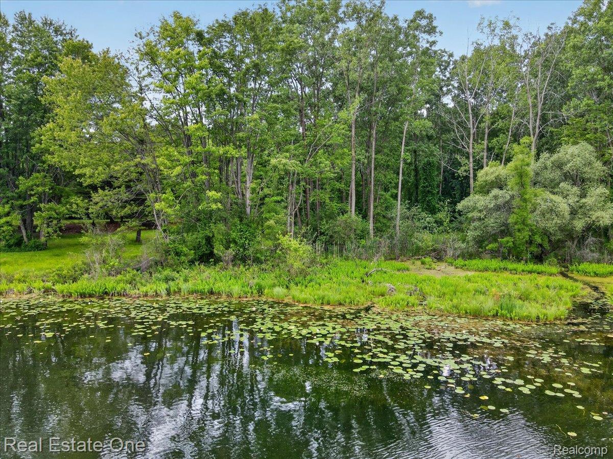 425 Courtney Road Leonard, MI 48367 - Photo 85 of 89 085-2026.06.18_SFodor_Courtney_540.jpg