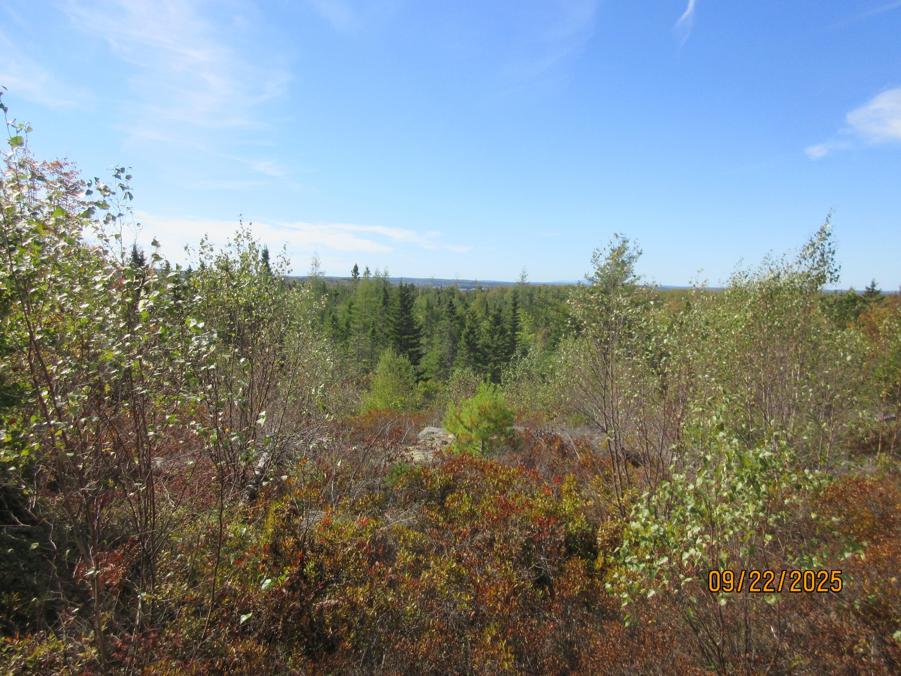 Lot #7 Highland Road Addison, ME 04606 - Photo 2 of 6