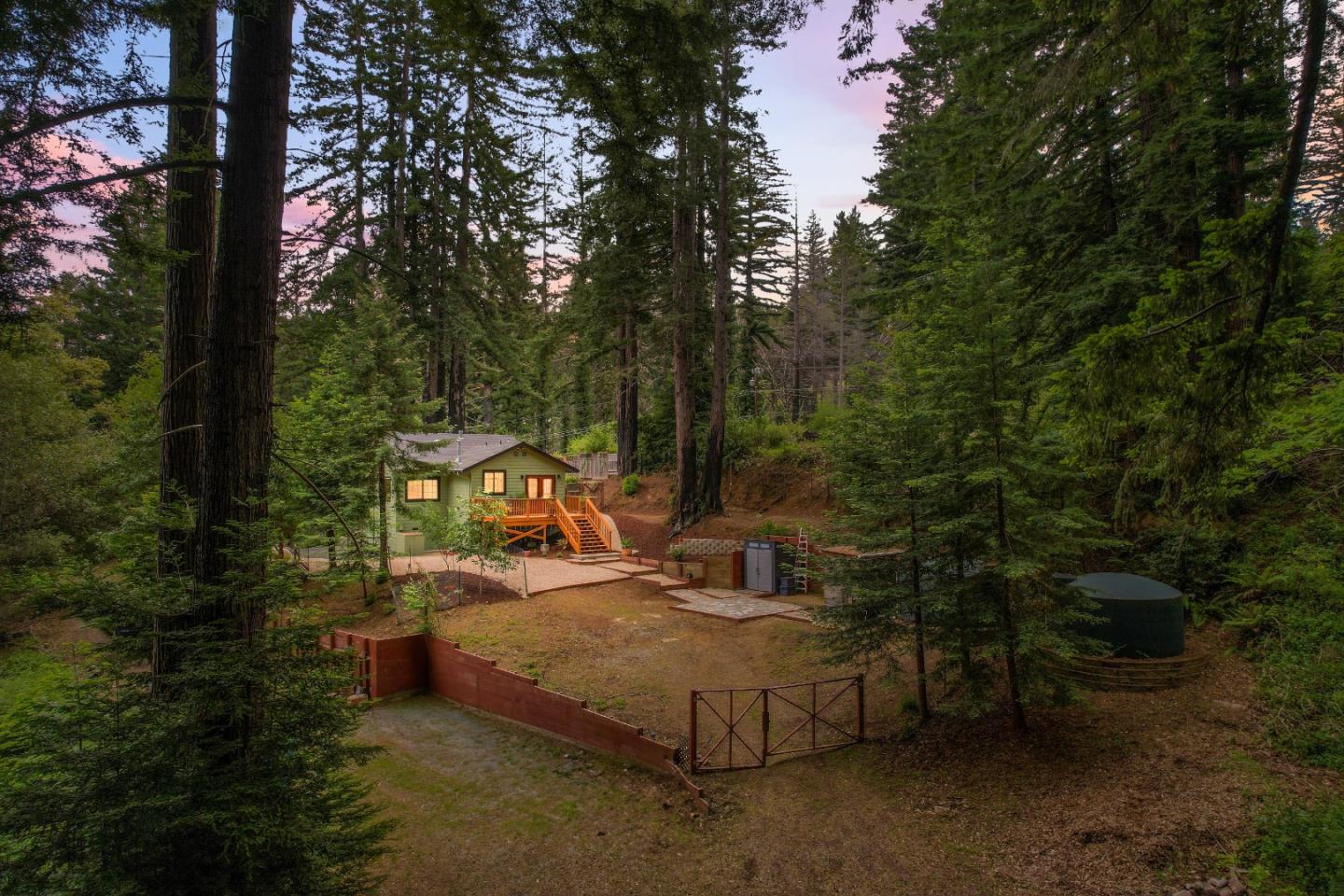 a view of a park with large trees