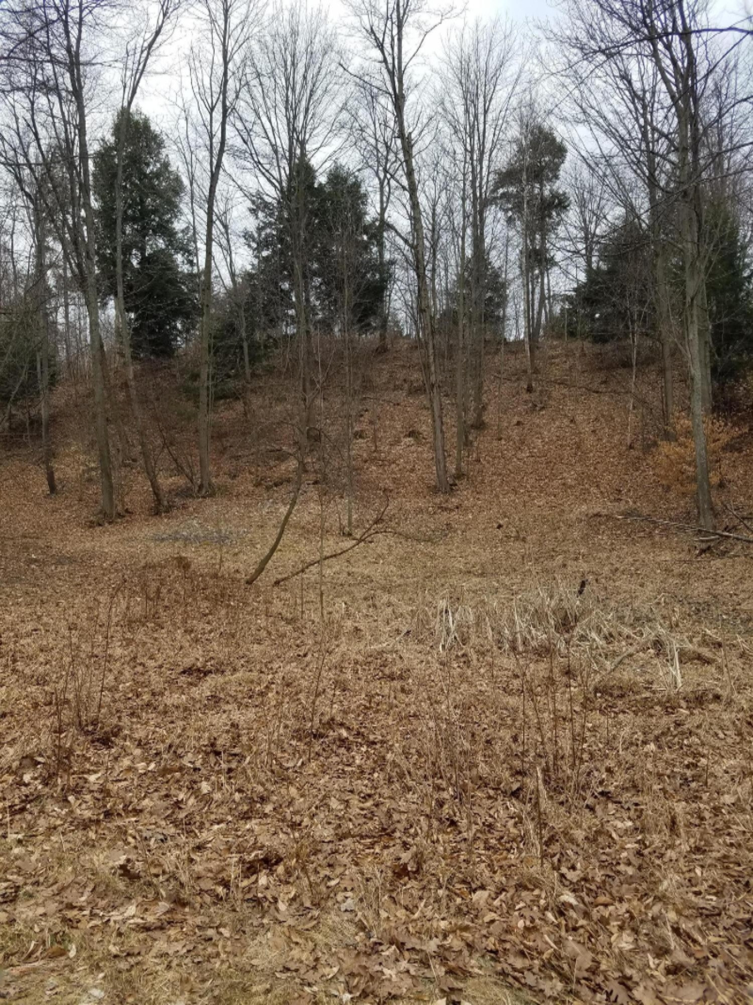 South Inman, Unit 27A Ludington, MI 49431 - Photo 8 of 15 20170323_173146