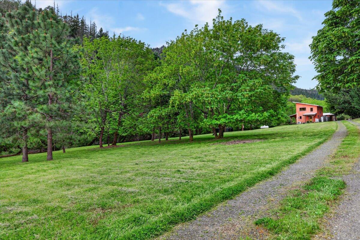 1848 Anderson Creek Road Talent, OR 97540 - Photo 52 of 64 63-9R9A1809
