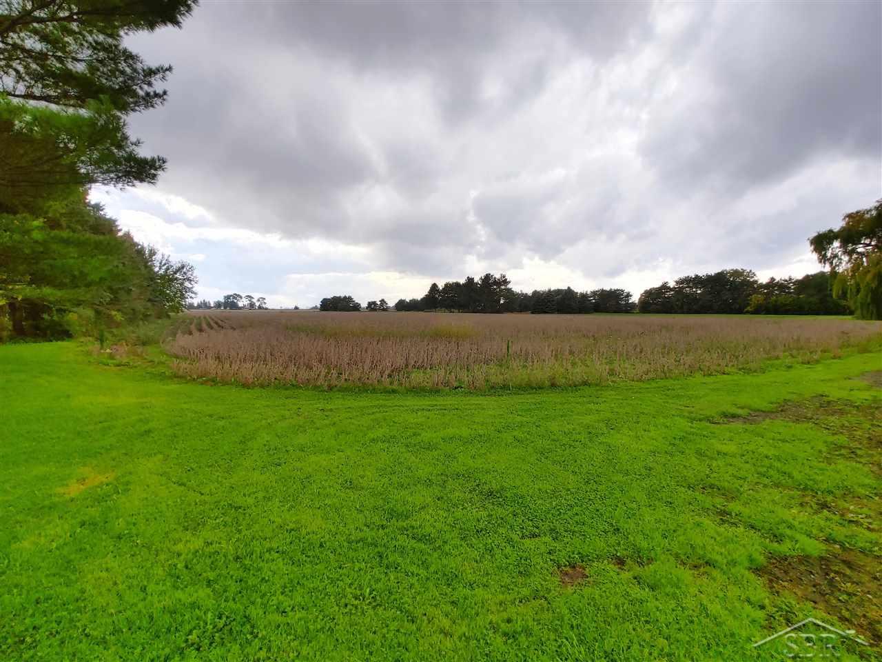 561 West Munger Road Munger, MI 48747 - Photo 38 of 40 50058730-44.JPG