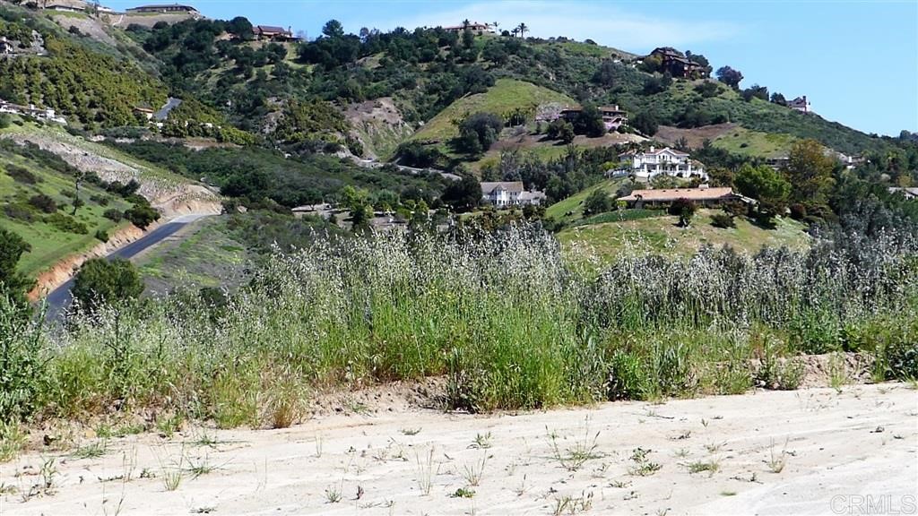 0 Willlow Glen Road Fallbrook, CA 92028 - Photo 14 of 25
