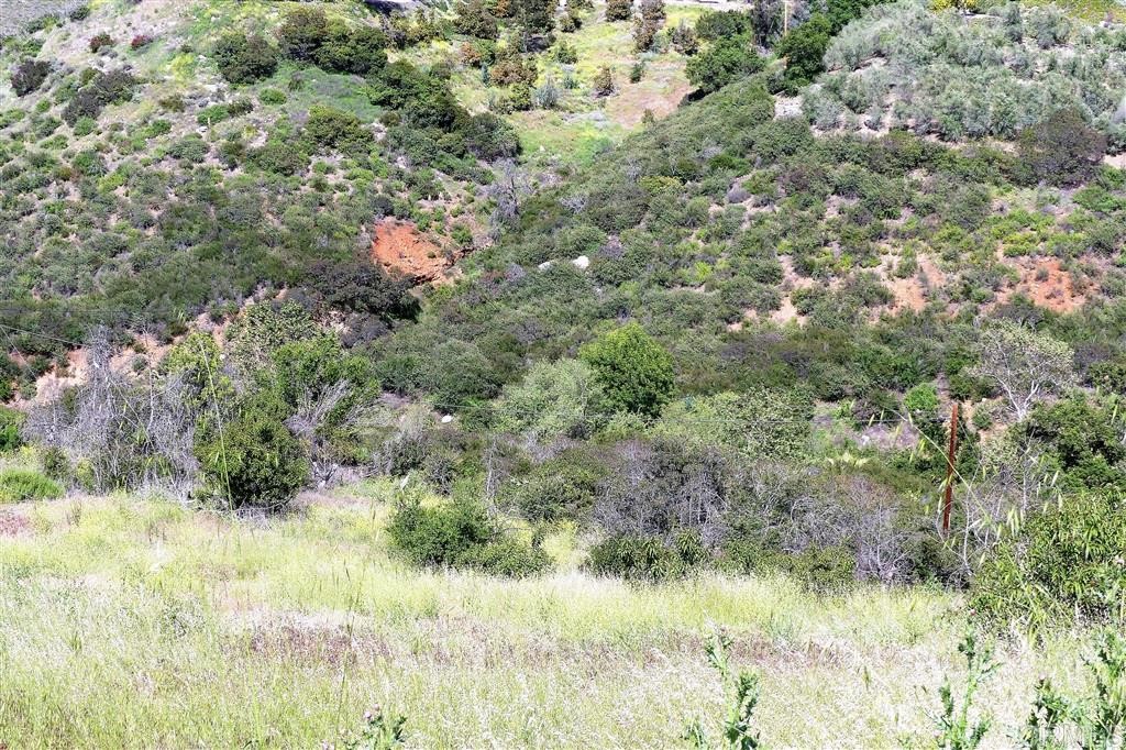 0 Willlow Glen Road Fallbrook, CA 92028 - Photo 4 of 25