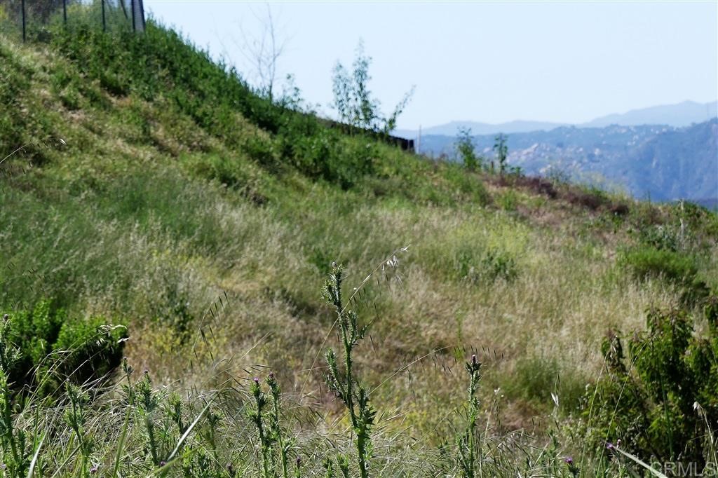 0 Willlow Glen Road Fallbrook, CA 92028 - Photo 10 of 25