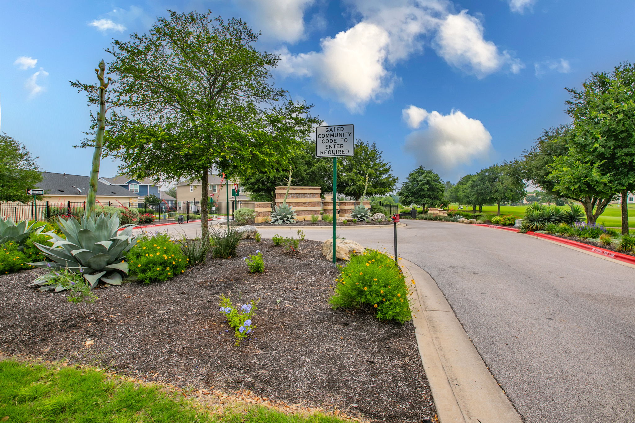 231 Simon Kyle, TX 78640 - Photo 29 of 29 Entryway landscaping featuring mature agave plants, various shrubs, and trees