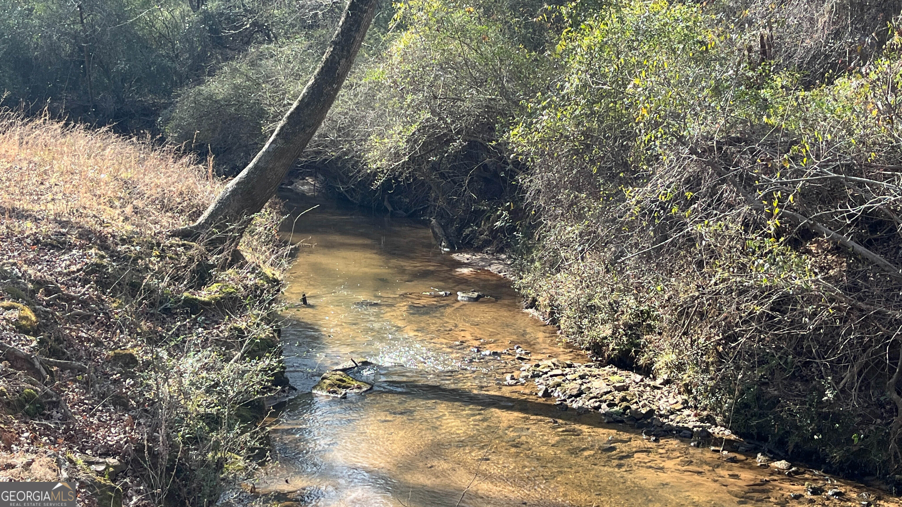 523 Fredonia Church Road Barnesville, GA 30204 - Photo 66 of 77