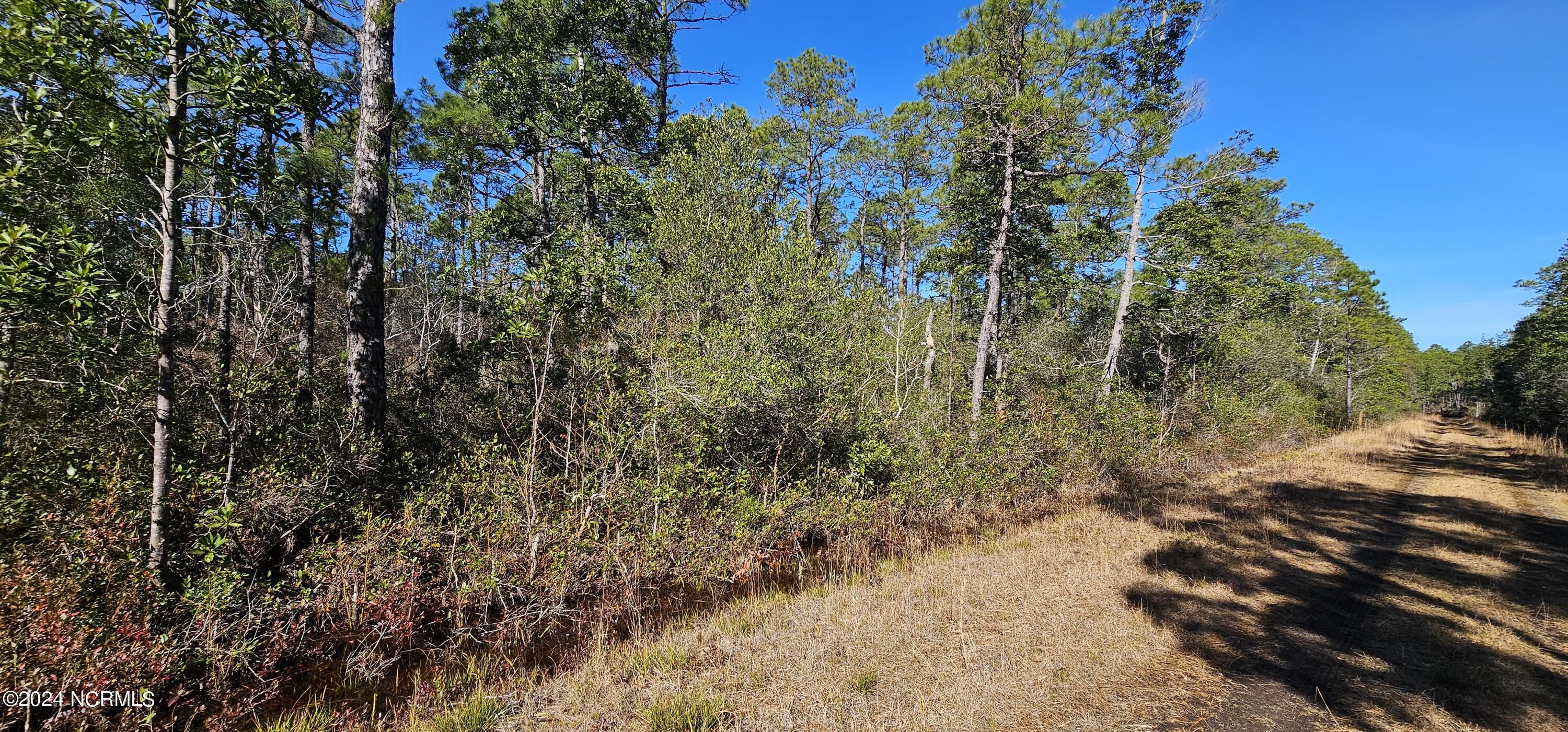 Lot 47-48 2nd Road Southport, NC 28461 - Photo 2 of 7 20240105_123458
