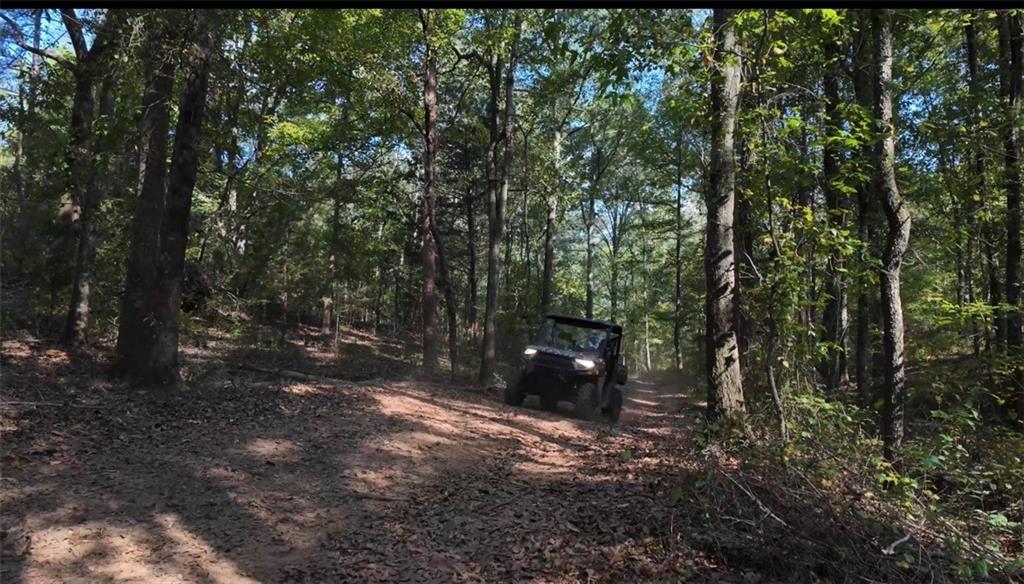 2011 Stinchcomb Road Dewy Rose, GA 30634 - Photo 11 of 20 a view of a forest with trees in the background