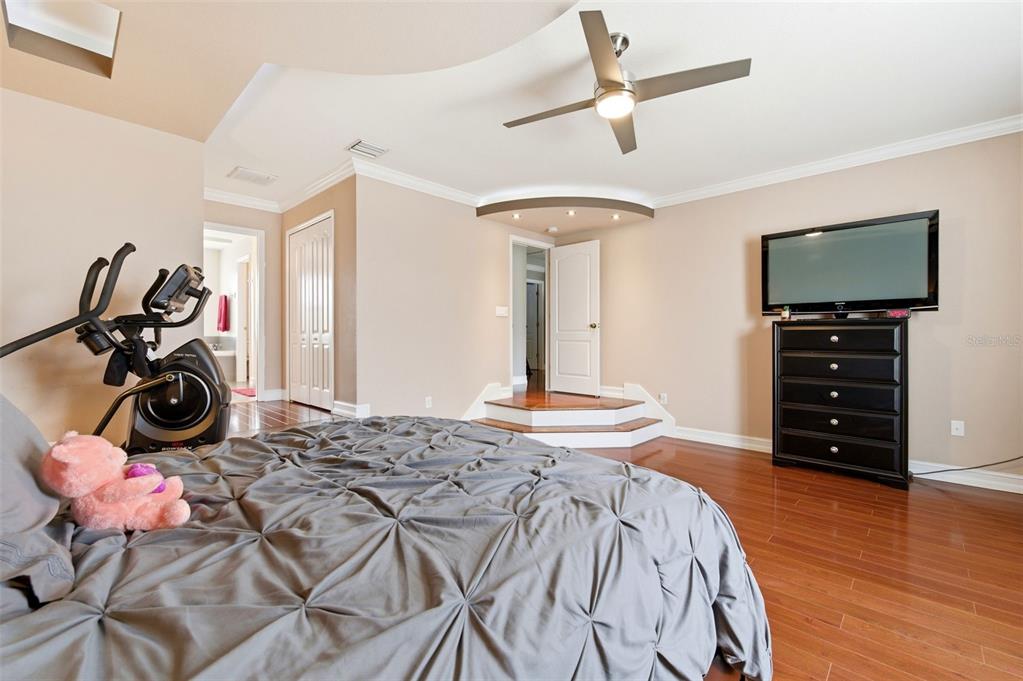 1718 Roseroot Court Trinity, FL 34655 - Photo 23 of 55