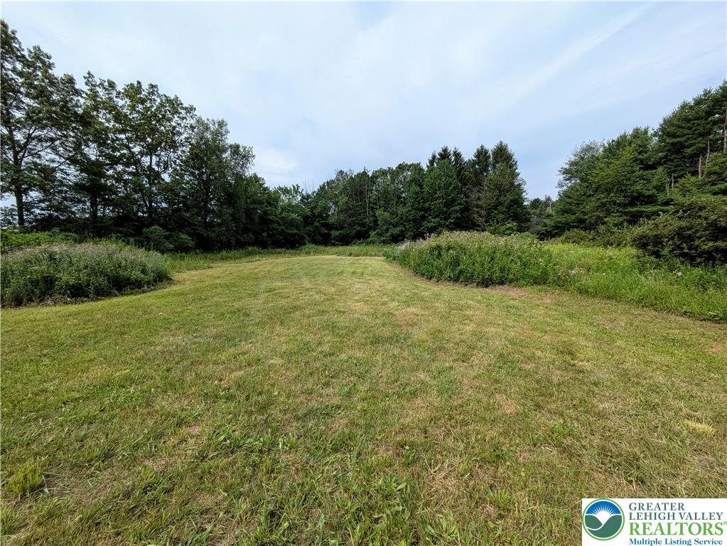 223 Brink Road Saylorsburg, PA 18353 - Photo 13 of 19 a view of an outdoor space and a yard