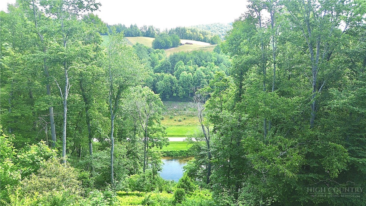 1400 Rustic Road West Jefferson, NC 28694 - Photo 4 of 23