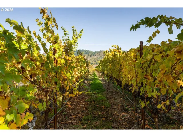 a sign broad on the wall