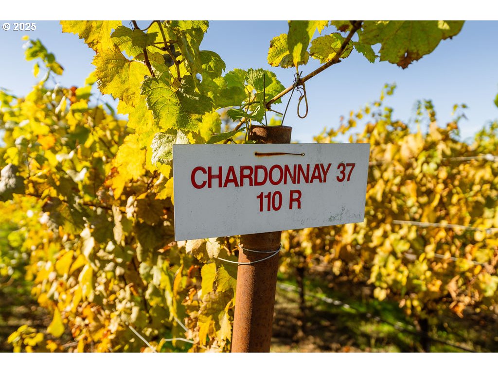 8690 Lookingglass Road Roseburg, OR 97471 - Photo 37 of 48