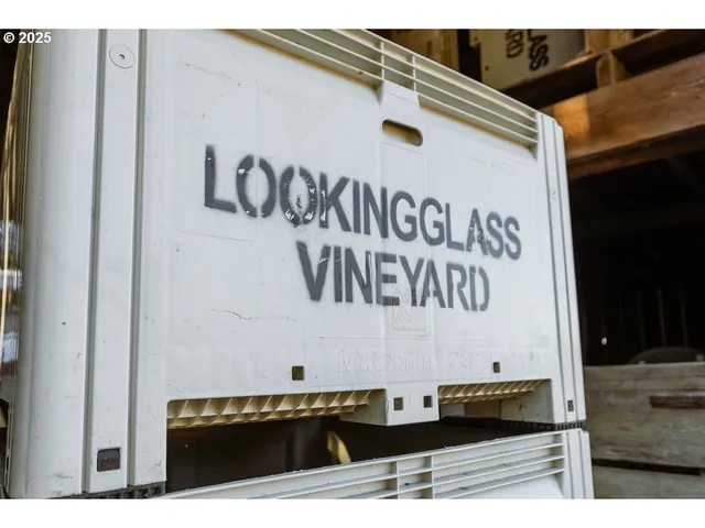 a view of an ocean and a mountain