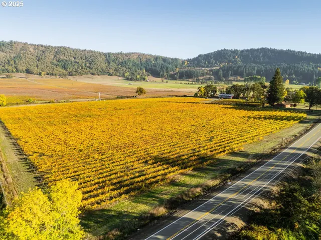 a view of an ocean and beach