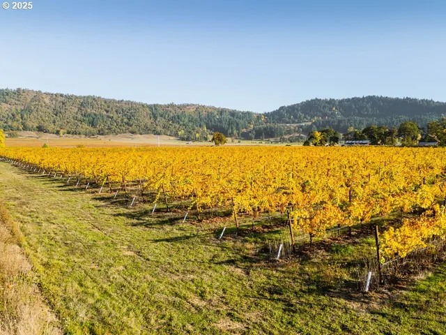 a view of an outdoor space and a yard
