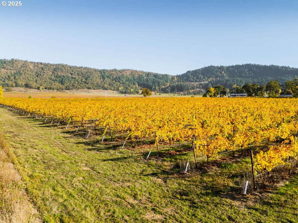 8690 Lookingglass Road Roseburg, OR 97471 - Photo 42 of 48