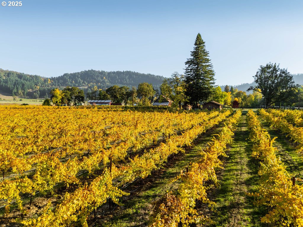 8690 Lookingglass Road Roseburg, OR 97471 - Photo 43 of 48