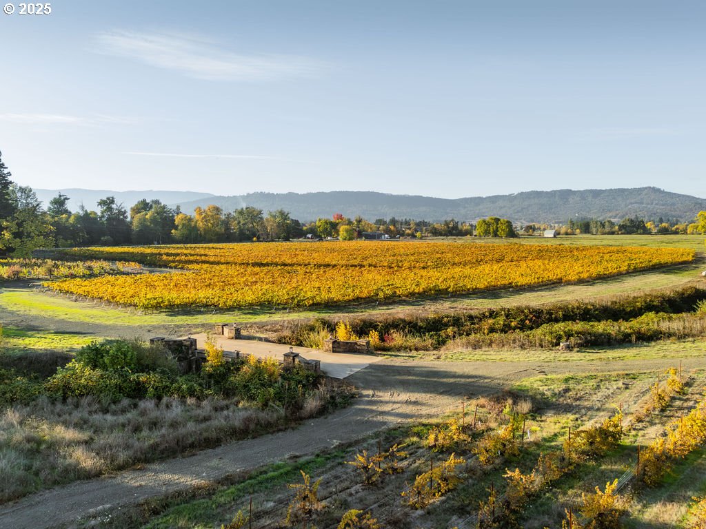 8690 Lookingglass Road Roseburg, OR 97471 - Photo 46 of 48