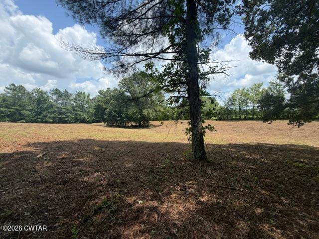0 McBride Cemetery Road Sardis, TN 38371 - Photo 20 of 54 thumbnail (20)