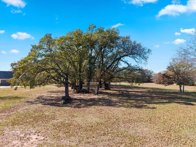 a view of dirt yard with a large tree