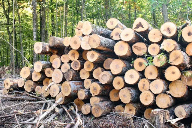 $5,100,000 | 2448 Lost Nation Road, East Haven, VT 05837