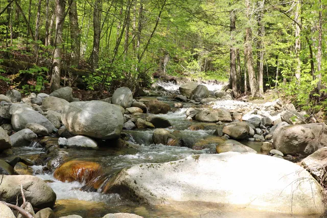 $5,100,000 | 2448 Lost Nation Road, East Haven, VT 05837