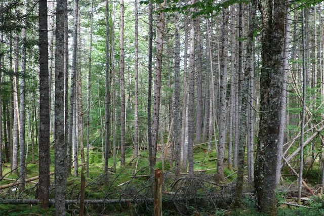 $5,100,000 | 2448 Lost Nation Road, East Haven, VT 05837