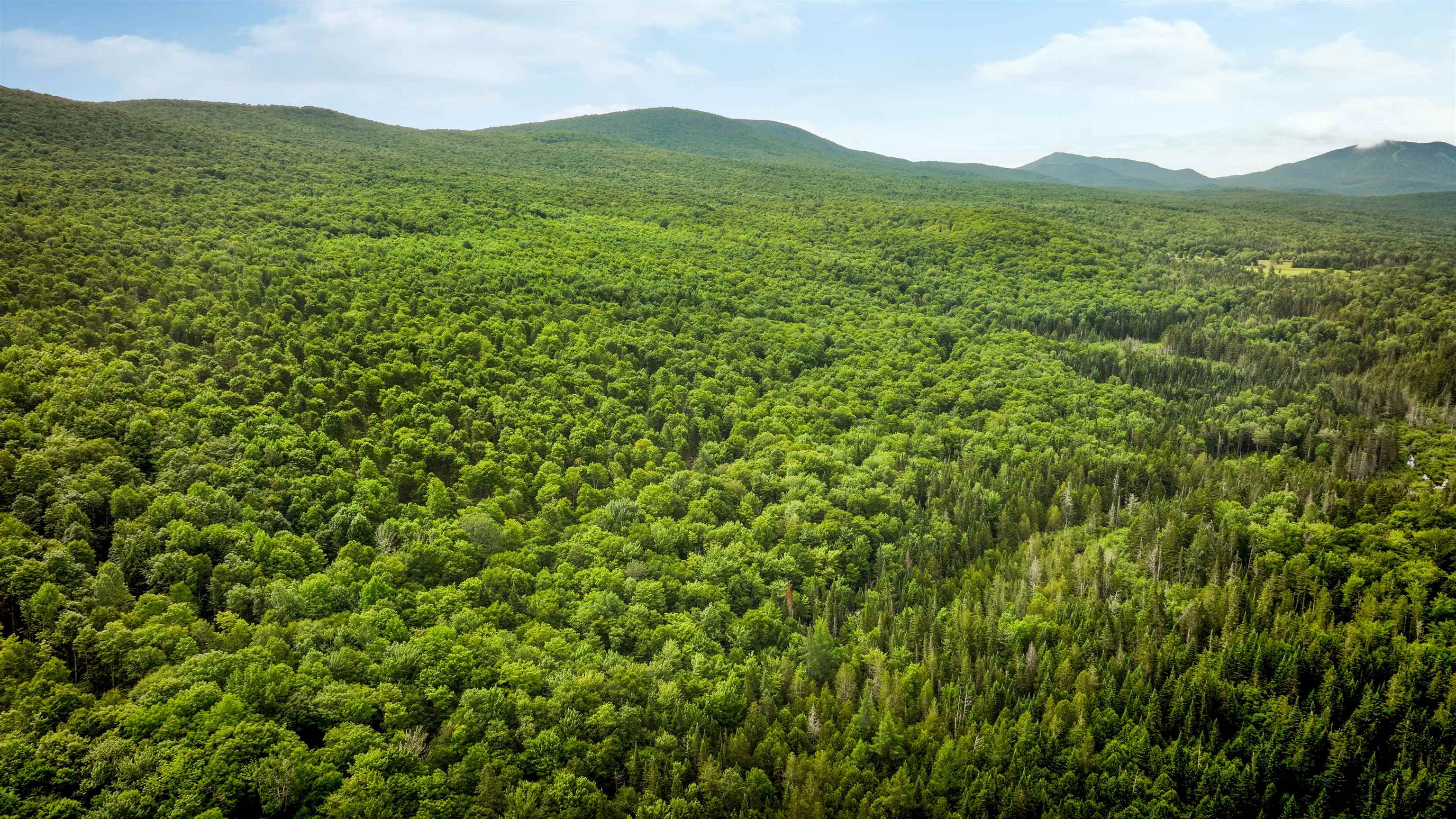 2448 Lost Nation Road East Haven, VT 05837 - Photo 16 of 27