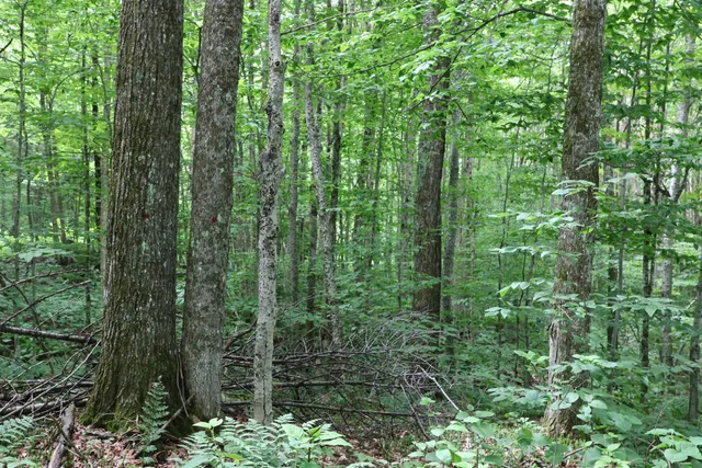 $5,100,000 | 2448 Lost Nation Road, East Haven, VT 05837