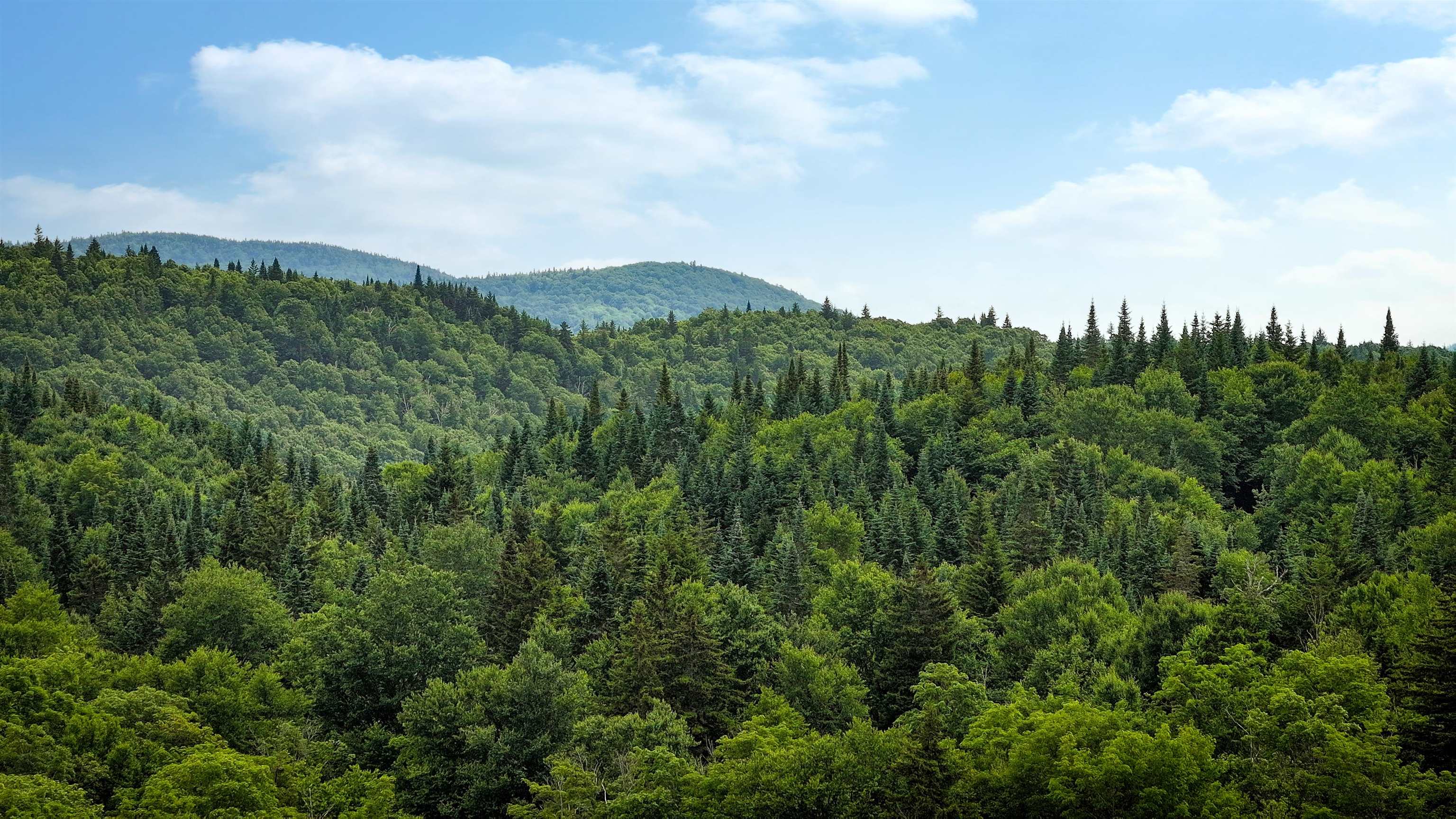 2448 Lost Nation Road East Haven, VT 05837 - Photo 19 of 27