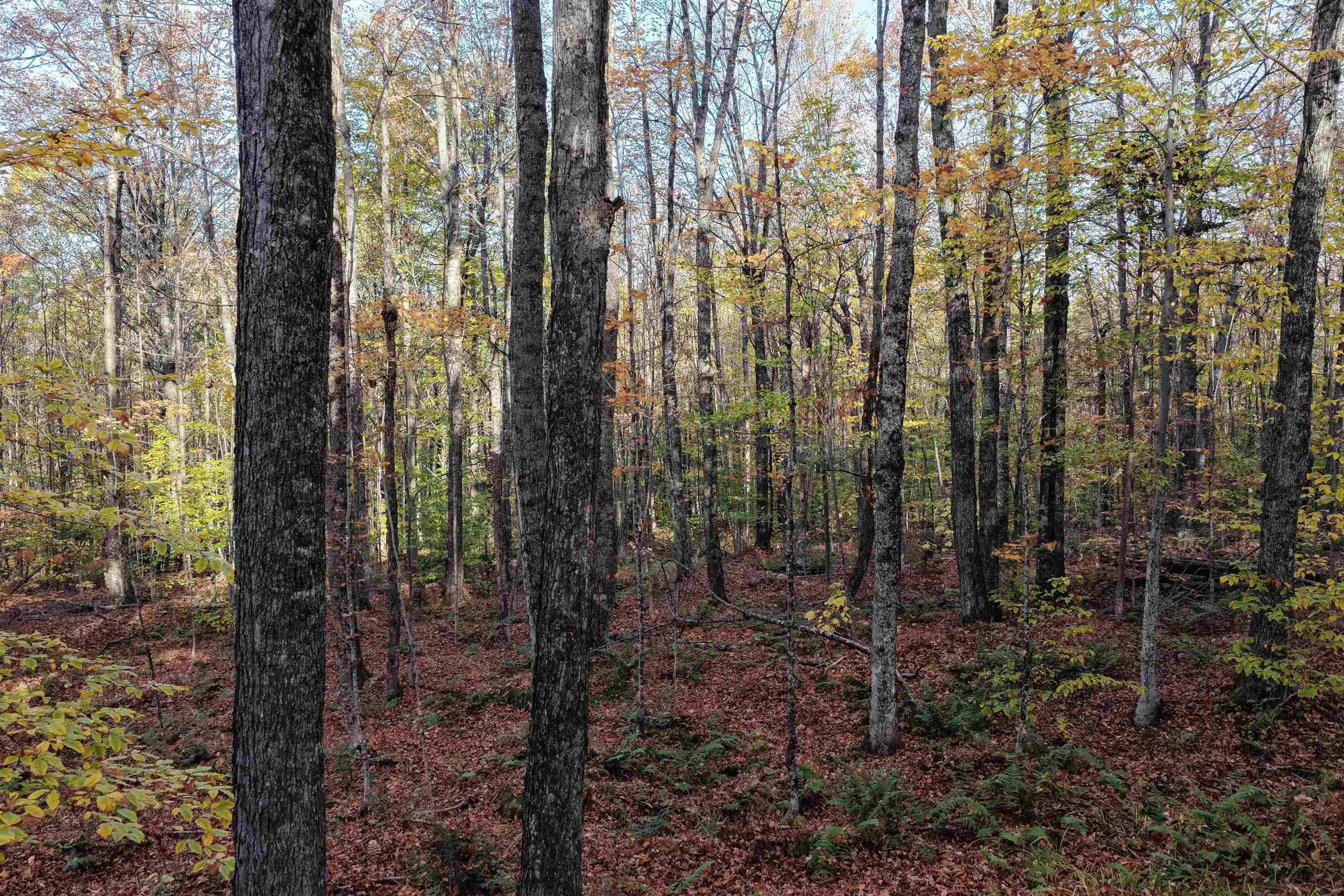 2448 Lost Nation Road East Haven, VT 05837 - Photo 2 of 27