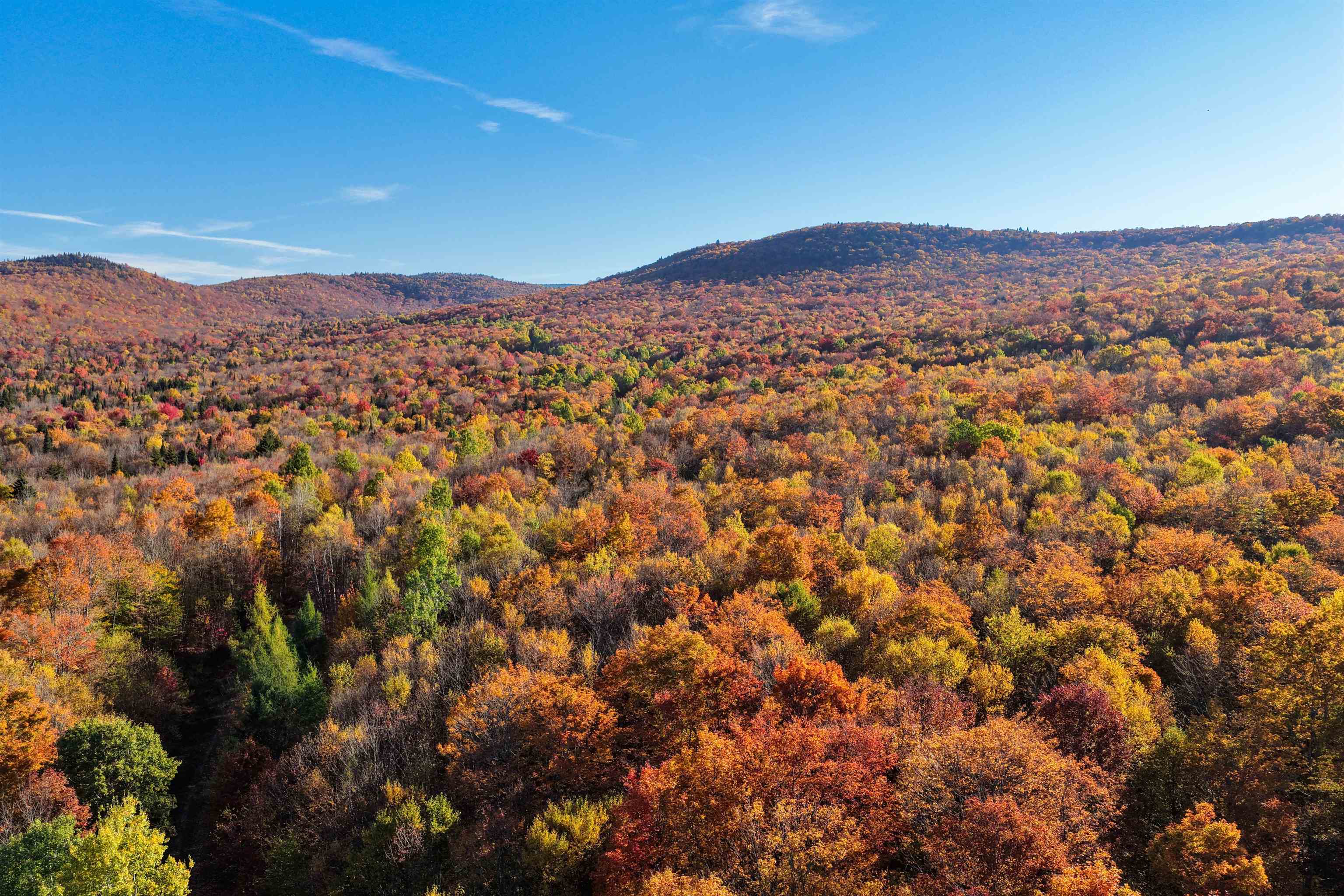 2448 Lost Nation Road East Haven, VT 05837 - Photo 3 of 27