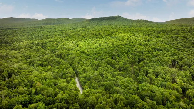 $5,100,000 | 2448 Lost Nation Road, East Haven, VT 05837