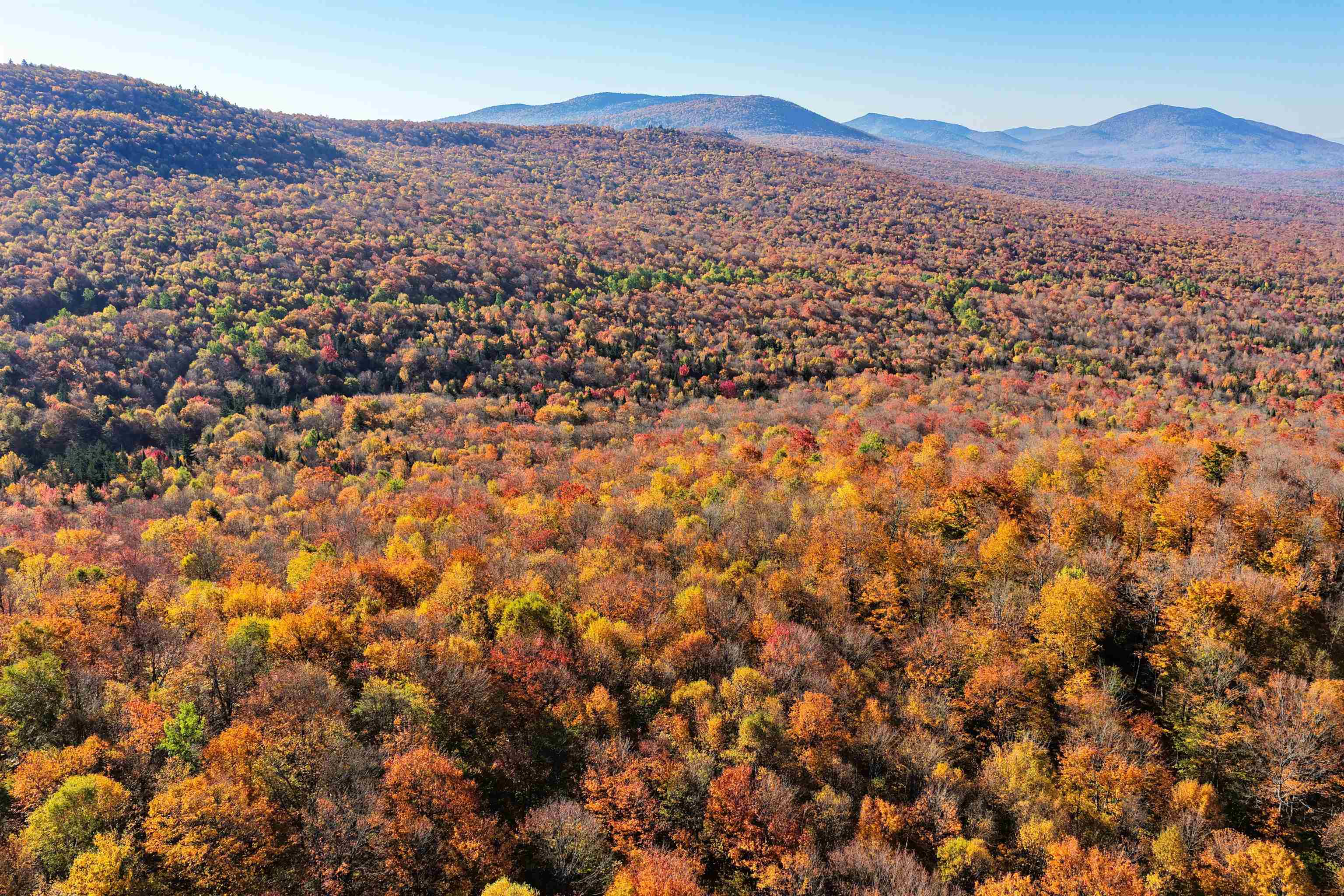 2448 Lost Nation Road East Haven, VT 05837 - Photo 5 of 27