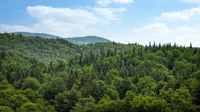 $5,100,000 | 2448 Lost Nation Road, East Haven, VT 05837