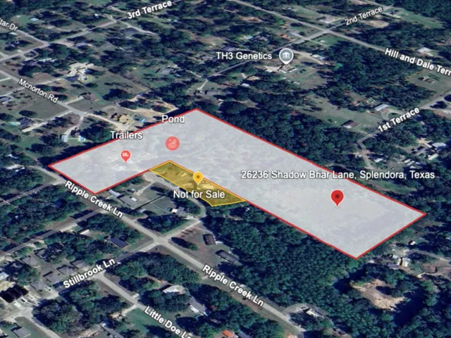 a view of a lots of trees