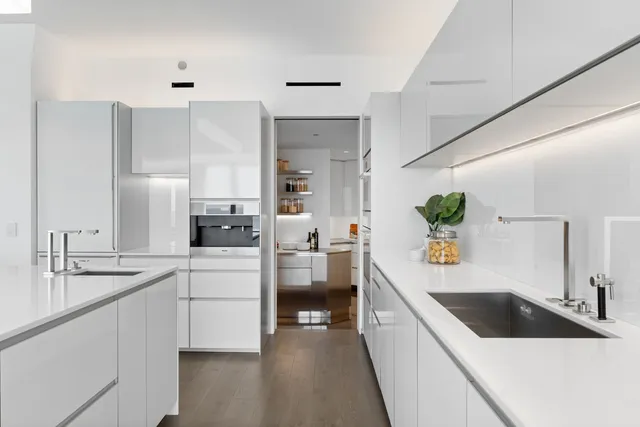 a living room with furniture a potted plant and kitchen view